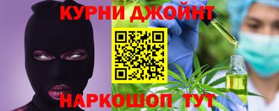стаф Можга