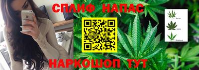 наркотики Моздок