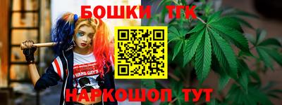 стаф Можга
