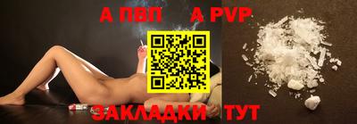 стаф Можга
