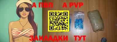 стаф Можга