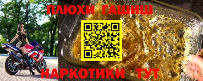 стаф Можга