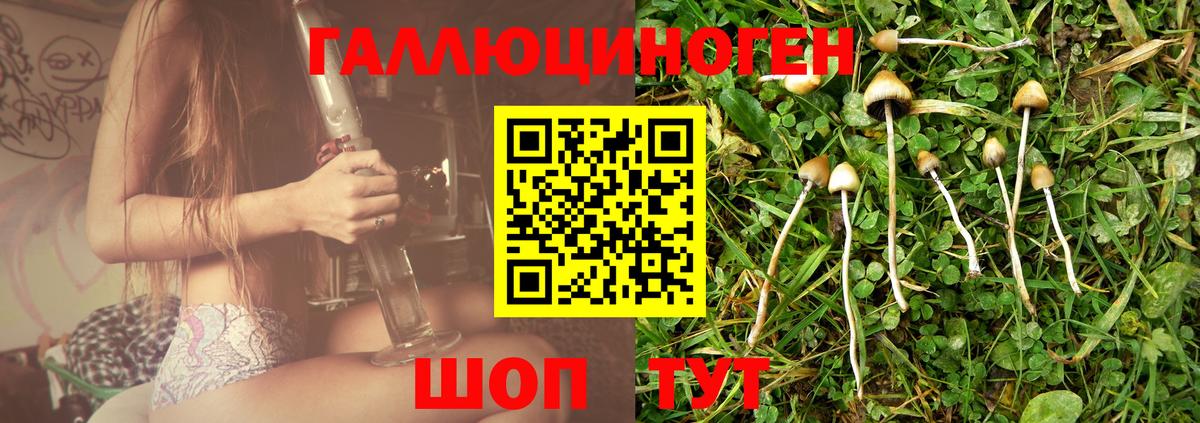 Псилоцибиновые грибы ЛСД Гусев