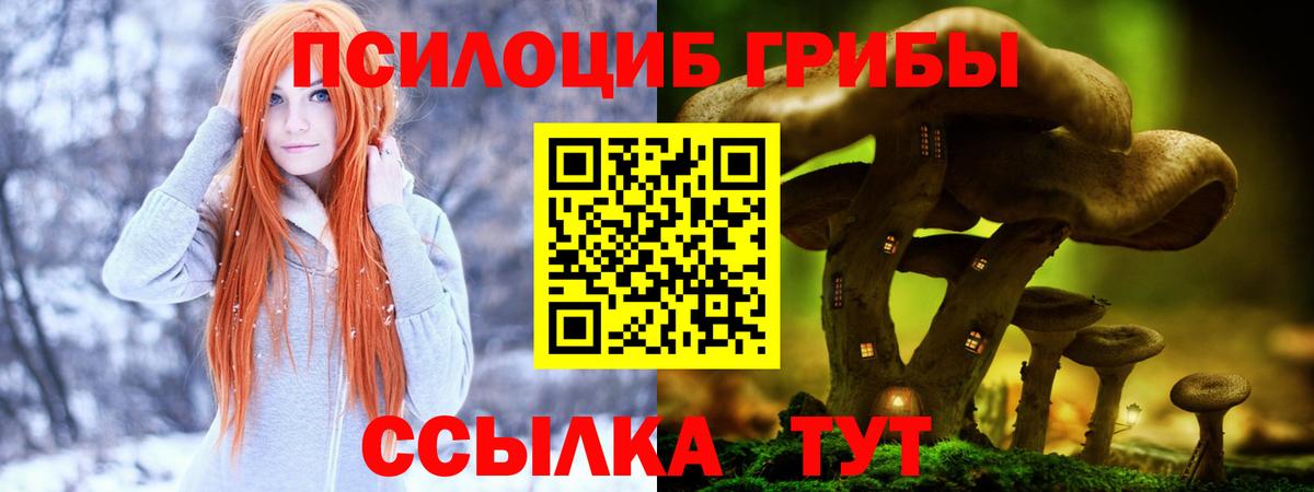 Гусев  Псилоцибиновые грибы прущие грибы  Вход с VPN 